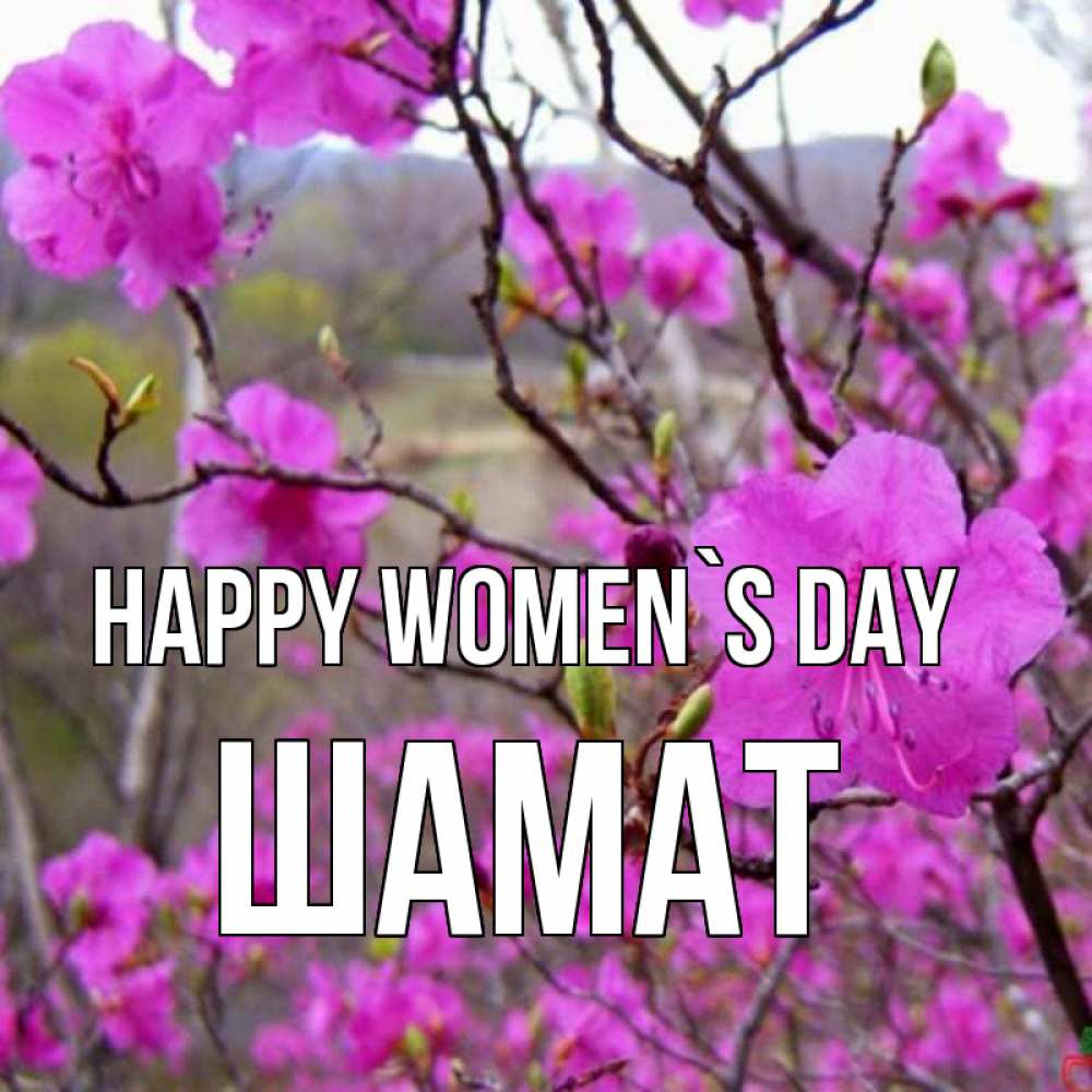 Greetings card с именем, ШАМАТ happy women`s day международный женский день Greetings with text for free download 